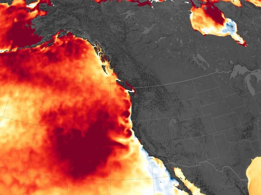 Record-breaking water temperatures recorded off Pacific Ocean.