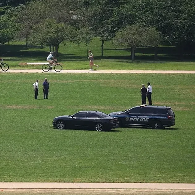Federal probe launched into giant '8647' marking on National Mall