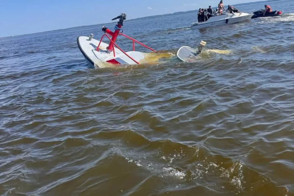 New Jersey Fire Boat Collides with Whale; Sinks