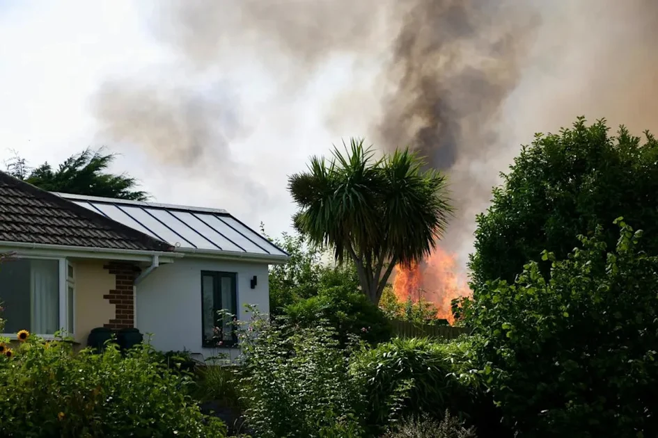 A fire has broken out in Bourne Valley Park (Image: Richard Crease)