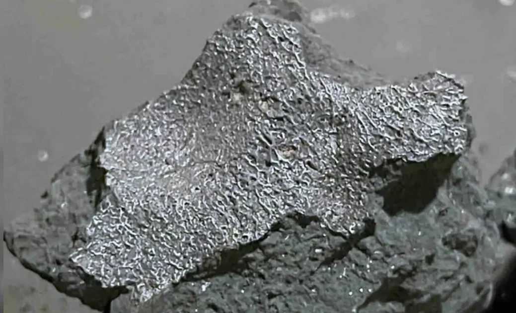 Meteorite That Fell Through A New Jersey Roof May Reveal The Origins Of Life’s Ingredients