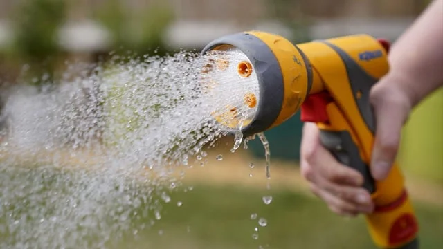 Hosepipe ban announced for thousands of South East Water customers in Kent amid soaring temperatures