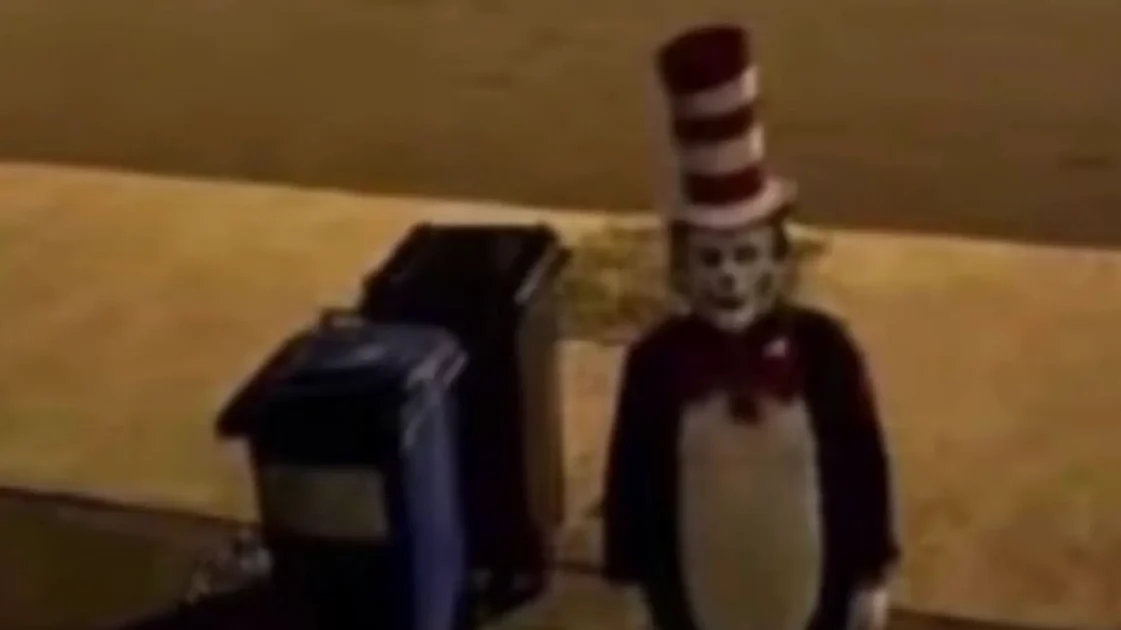Police forced to issue statement after 'Cat in the Hat' pictured terrorising streets