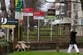 UK rent crisis deepens as soaring mortgage rates trap aspiring homeowners