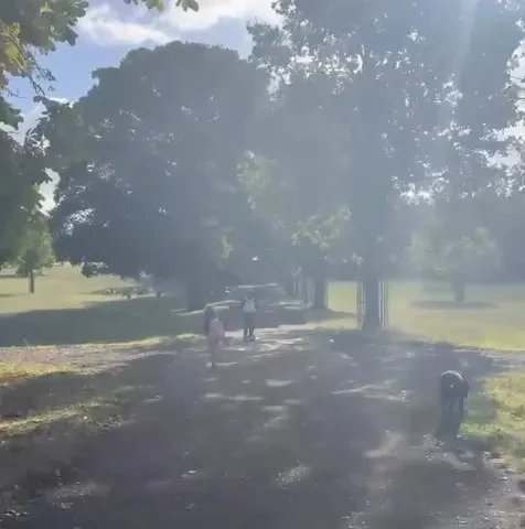 Prince Archie and Princess Lilibet.Credit: Meghan Markle/Instagram